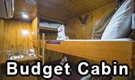 Budget Cabin