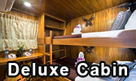 Cabine de Luxe, liveaboard, West Coast Diver