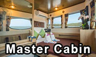 Master Cabin