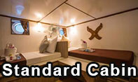 Cabine Standard, 4 Days 4 Nights, Cruise, Similans, Cruise to Similan, Islands